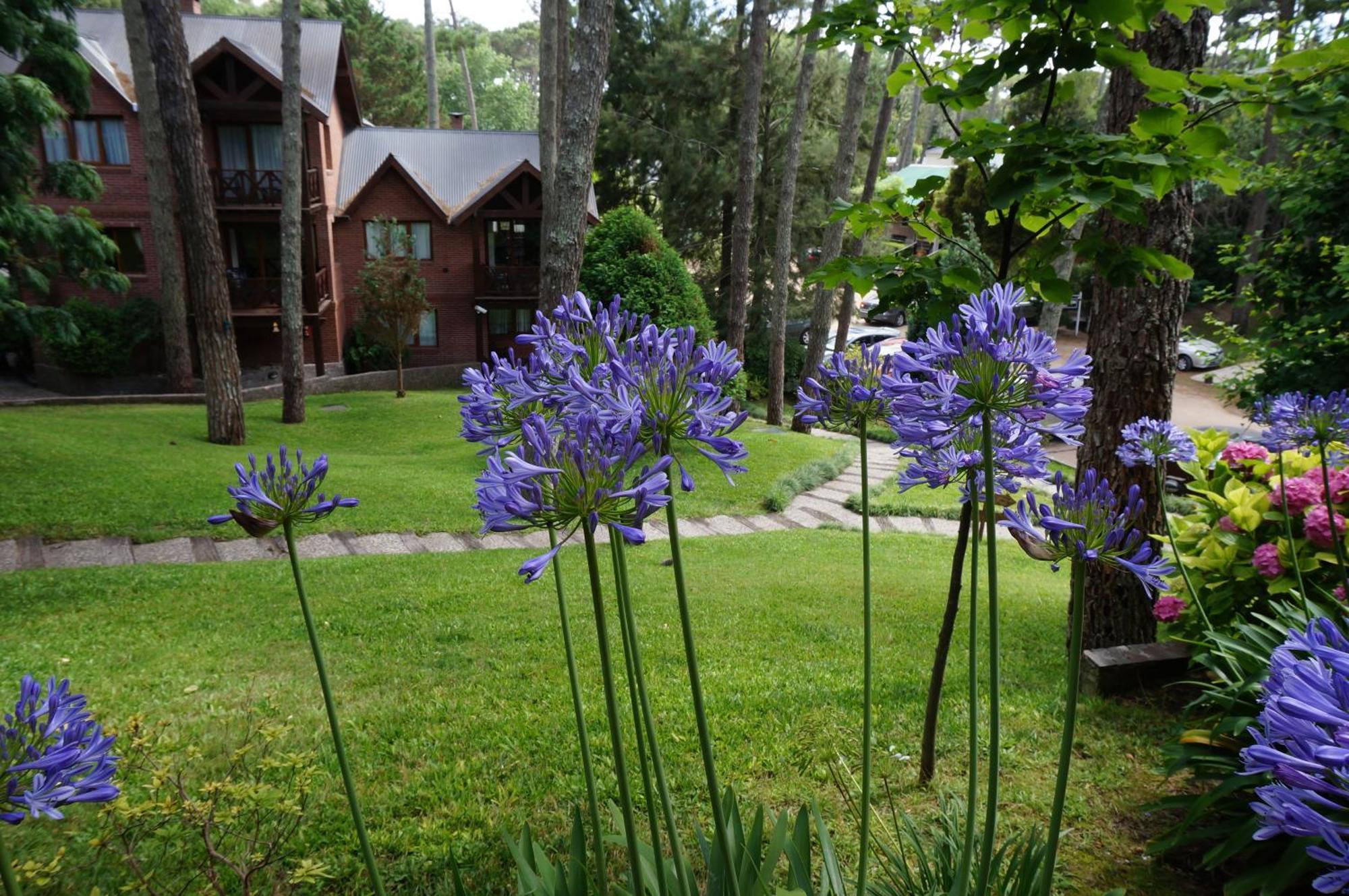 Refugio Del Bosque Villa Carilo Exterior photo